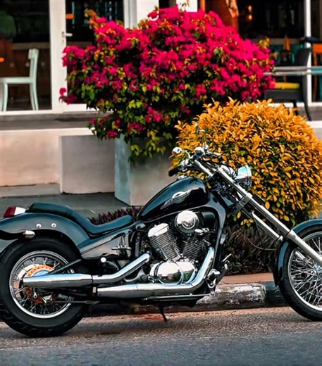 Unique Bikes You Rarely See on the Streets