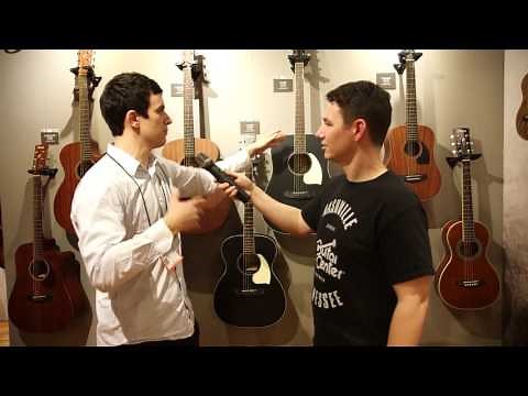 Ibanez Performance Series Acoustic Guitars