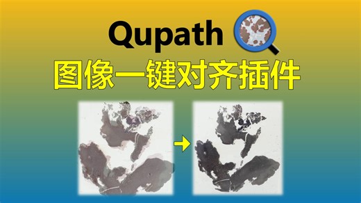 Qupath图像一键对齐插件