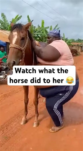 Horses Have Never Been This Funny #funny #lol #laugh #comedyshorts #comedy #fyp
