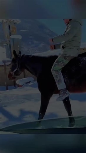 #MMA #UFC #Khabib #KhabibNurmagomedov #IslamMakhachev