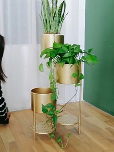 Watch metal plant stand on Amazon Live