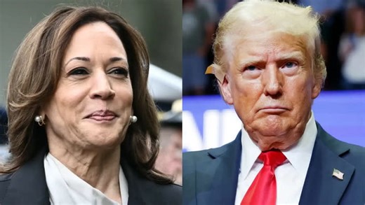 How these 7 swing states could decide the 2024 US election