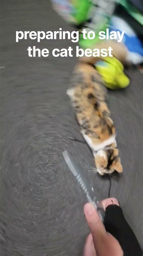 slay the beast