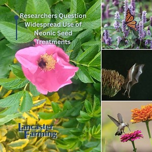 How common are neonicotinoid seed treatments and what do we really know about their effects? A new report highlights concerns for pollinators, soil health, and the future of IPM in field crops. | Lancaster Farming | Facebook