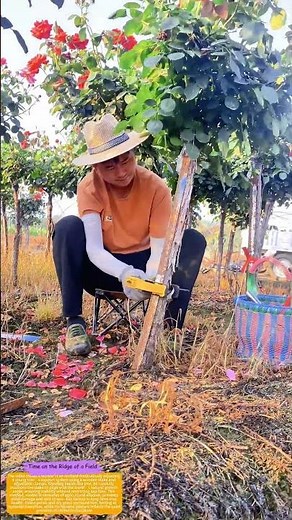 Taming the Tree: How Proper Staking Prevents Future Breakage