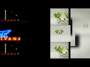 300 Shuric Scans With Are Slides (Daily Edition) 299/365