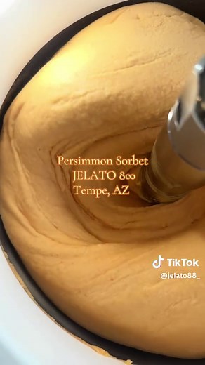 Delicious Persimmon Sorbet Recipe from Tempe, AZ