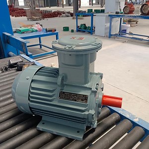 [Hot Item] Pharmaceutical Industry Flameproof Motor Corrosion Resistance Explosion-Proofmotor Motor