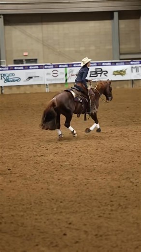 ✨ Pre-Season Breeding Discount Ending Soon ✨ Graceful Smart Cat • Current stud fee: $1,500 • After December 31: $2,000 • Limited time to lock in savings Now is the time to secure your breeding to Graceful Smart Cat and invest in a program built on performance, pedigree, and proven success. This is your opportunity to: • Add elite bloodlines to your program • Produce a foal rooted in winning genetics • Become part of a legacy that continues to perform at the highest level 📅 Pre-season pricing en