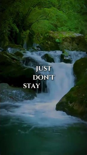 Jiujitsu Motivational Mindset