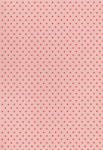 Texas Tech College Dorm Haul for Freshmen