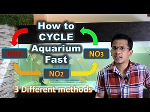 How to Cycle Aquarium Fast | Why fish die in new aquarium | Beginners Aquarium Guide #4