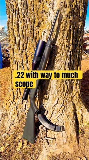 Ruger 10/22 with a Vortex crossfire ll