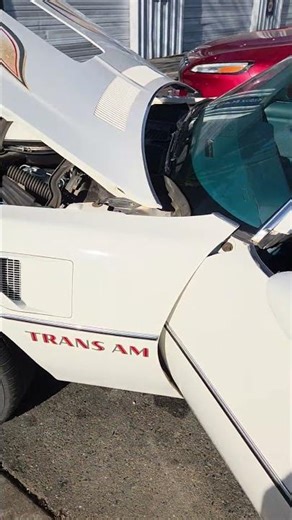 oem 76 trans am 400,they got for 2500 bucks the owners thought engine was bad,guage showd fuel 💀