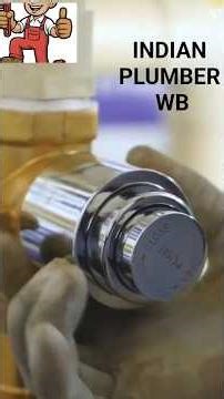 HOW to repair a Toilet flush valve