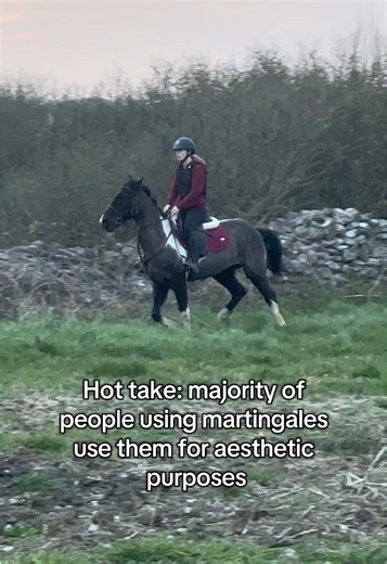 Not saying its a terrible thing I just notice so many people just have them and dont even know what the purpose and just use them as every one else has one. I personally need a breastplate with a martingale and was recommended by my saddle fitter. #hottake #equine #cobythehorse #fyp #horse