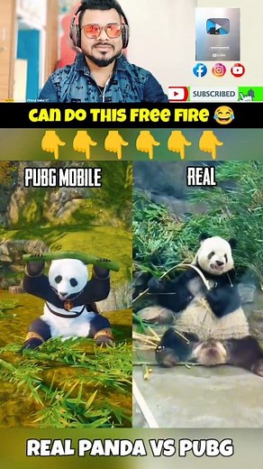 131K views · 2.6K reactions | Real Panda vs Pubg Panda  3.5 update . . . #reelsfypシ #reels #pubg #bgmi #shorts #short #reelstrending | Prince Deba YT | Facebook