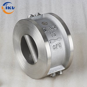 [Hot Item] ANSI Dual Disc/Double Plate Ss Non Return Valve Swing Check Valve