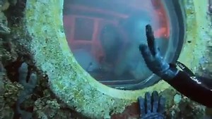 9.7K views · 268 reactions | Take a tour of the Aquarius underwater habitat with one of NEDU’s dive medical officers. NEDU is proud to support the NASA Exteme Environments Mission Operations aka NASA NEEMO. Congratulations to the Aquarius Reef Base team for conducting their first sat dive after Hurricane Irma and HOOYAH to all the aquanauts and researchers of #NEEMO23! | NEDU Navy Experimental Diving Unit | Facebook