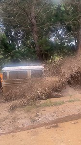 173K views · 5.3K reactions | TOYOTA SIN MIEDO AL EXITO #offroad #4x4 #toyoteros #nissanpatrol #toyota | Territorio Off Road 4x4 | Facebook