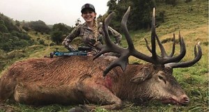 13-Year-Old Arrows Monster New Zealand Red Stag, Then Another