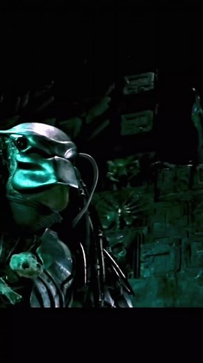my enemy! #predator #avp #alienvspredator #predators #alien #predatorhuntinggrounds #avp2 #alienpredator #depredador #alienvspredatoredit