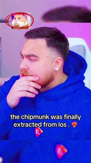 this chipmunk entity was overstaying inside of los😌 #lospollostv #fyp #trending #emotional #viral