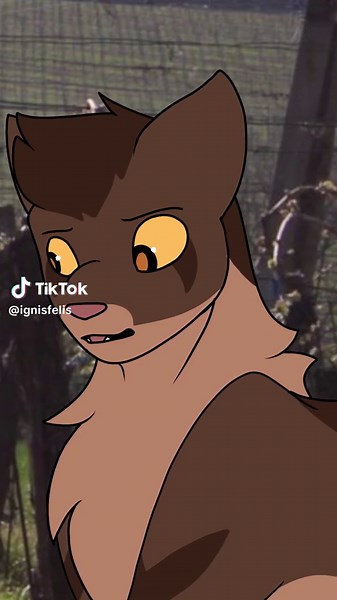 Understanding Stormfur: A Warrior Cat's Tale