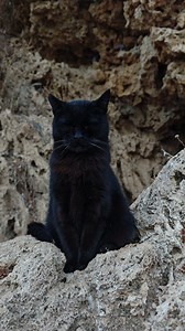 🤘🏻🔥🤘🏻🔥 . #workout #bboy #hiphop #tricks #world | Marcelo Tricks Combo