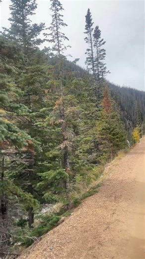 52K views · 1.5K reactions |  Last Ride of the Season: Old Fall...