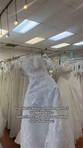 Sometimes the perfect wedding dress finds you!