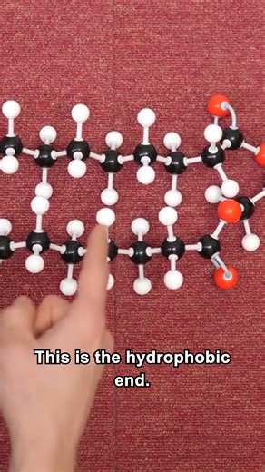 You can make a movable hole in soap film with a loop of thread. It's surprising when you first see and it's fun to think about why it behaves the way it does. It's also a useful metaphor for cell membranes so I explore that a little bit too. | Steve Mould