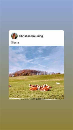 Christian Breuning on Reels