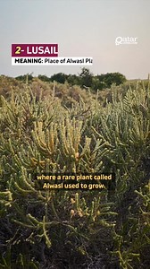 48K views · 512 reactions | Ever wondered why places in Qatar have such unique and intriguing names? From trees and birds to bays and rocks, each name has a story to tell. Let’s dive into the meanings behind some of Qatar’s most fascinating place names—you might just see these spots in a whole new light! Stay tuned for more in PART 2. #Names #Places #Doha #Qatar #QatarLiving | Qatar Living | Facebook