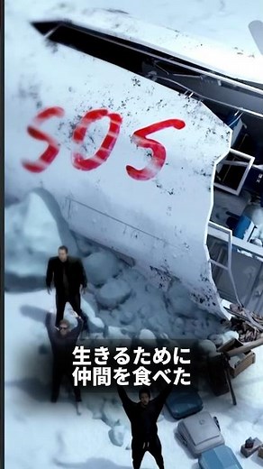 本当にあった事故 #飛行機事故 #事故 #海外