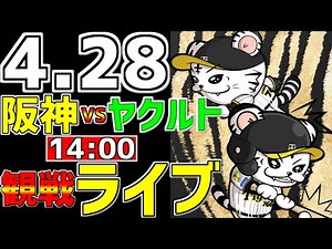 【 阪神公式戦LIVE 】 4/28 阪神タイガース 対 東京ヤクルトスワローズ プロ野球一球実況で一緒にみんなで応援ライブ #全試合無料ライブ配信 #阪神ライブ ＃とらほー #ライブ ＃大山悠輔