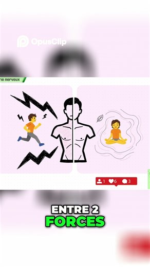 Maîtriser le Système Nerveux Le Protocole Monsieur Naturel