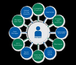 Ways of working in an interprofessional team