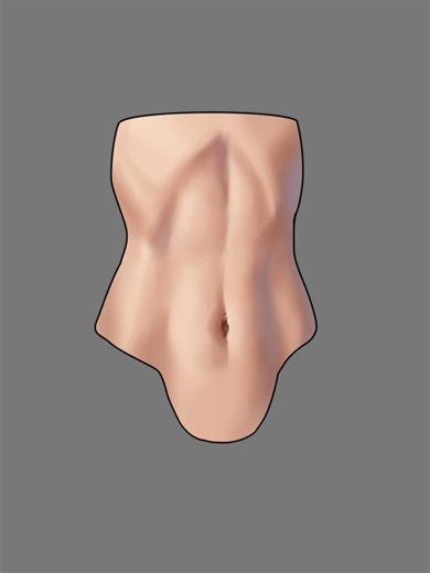 How to Color Belly: Drawing Tips for Digital Artists