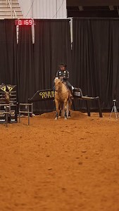 37K views · 5.9K reactions | Sending RR Buckles Clubhouse and Trevor Brazile out as CHAMPS with Thunderstruck for the last time 6-&-Under Heading Champs for $28,800. (Cactus Ropes Future S on the head side.) | The Team Roping Journal Magazine | Facebook