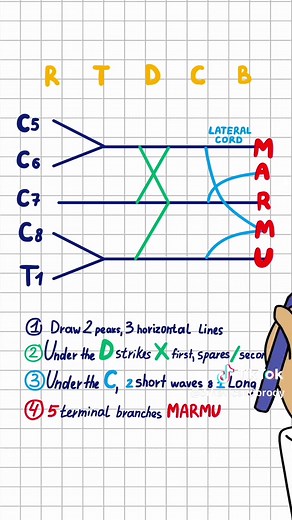 Dr. Havic & Brody on TikTok