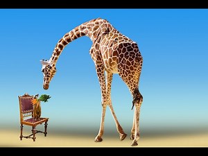 Wild Animals - Giraffe Sounds - Animal Sounds Real
