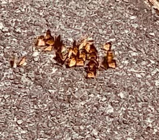 Martin Miller on Reels