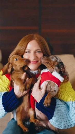 Giovanna Ewbank on Instagram: "As festas de final de ano estão chegando e claro que os cuidados com nossos filhos de 4 patas tem que continuar…e vcs sabem que aqui em casa são muitos neh? Rsrsrs. Então nós já garantimos a alimentação de todos eles com a melhor, @royalcaninbrasil ❤️🐶🐶🐶🐶🐶🐶🐶🐶🎅🏿 | publi*"