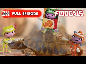Project Tortoise - FLOOGALS TAKEOVER on ZeeKay Junior