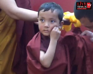381K views · 10K reactions | शिमला : चार साल के नन्हे अवतार रिनपोछे की ताजपोशी । तिब्बती बौद्ध धर्म के निंगमा स्कूल के प्रमुख कब्जे तकलुंग चेटुल रिनपोछे का हुआ चौथा पुनर्वतार | Live Times Tv | Facebook