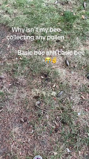 Mastering Bee Swarm Simulator Gameplay Tips