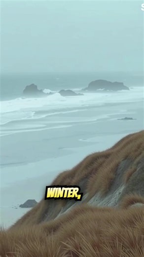 Pacific City might be the most underrated fall coastal getaway… here are the top five spots you can’t miss 🍁 #falltravel #oregoncoast #pacificcity #travelbucketlist #scenicviews