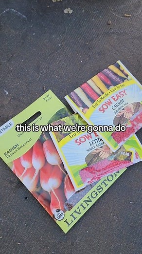 33 reactions | Planting some cold crops in the greenhouse | Tammi Browning Battaglia | Facebook